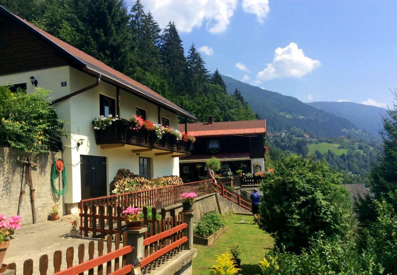 Panoramahaus Apartment Radenthein Exterior photo